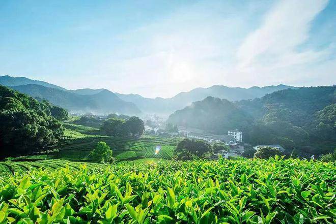 楼处电线网站玉岑山居详情-户型配套麻将胡了2试玩模拟器玉岑山居(售(图5)
