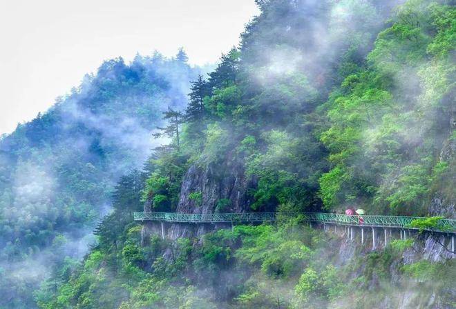 楼处电线网站玉岑山居详情-户型配套麻将胡了2试玩模拟器玉岑山居(售(图14)