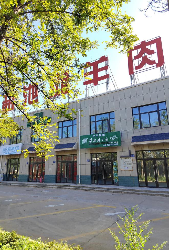 推荐 宁夏滩羊十大品牌PG电子麻将胡了2中羊